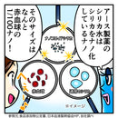 ◆アース ナノコロイドシリカ水 500ml