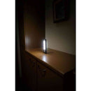 ELPA もてなしのあかり LED 明暗人感センサーライト 据置 コンパクト型 HLH-2203 1個