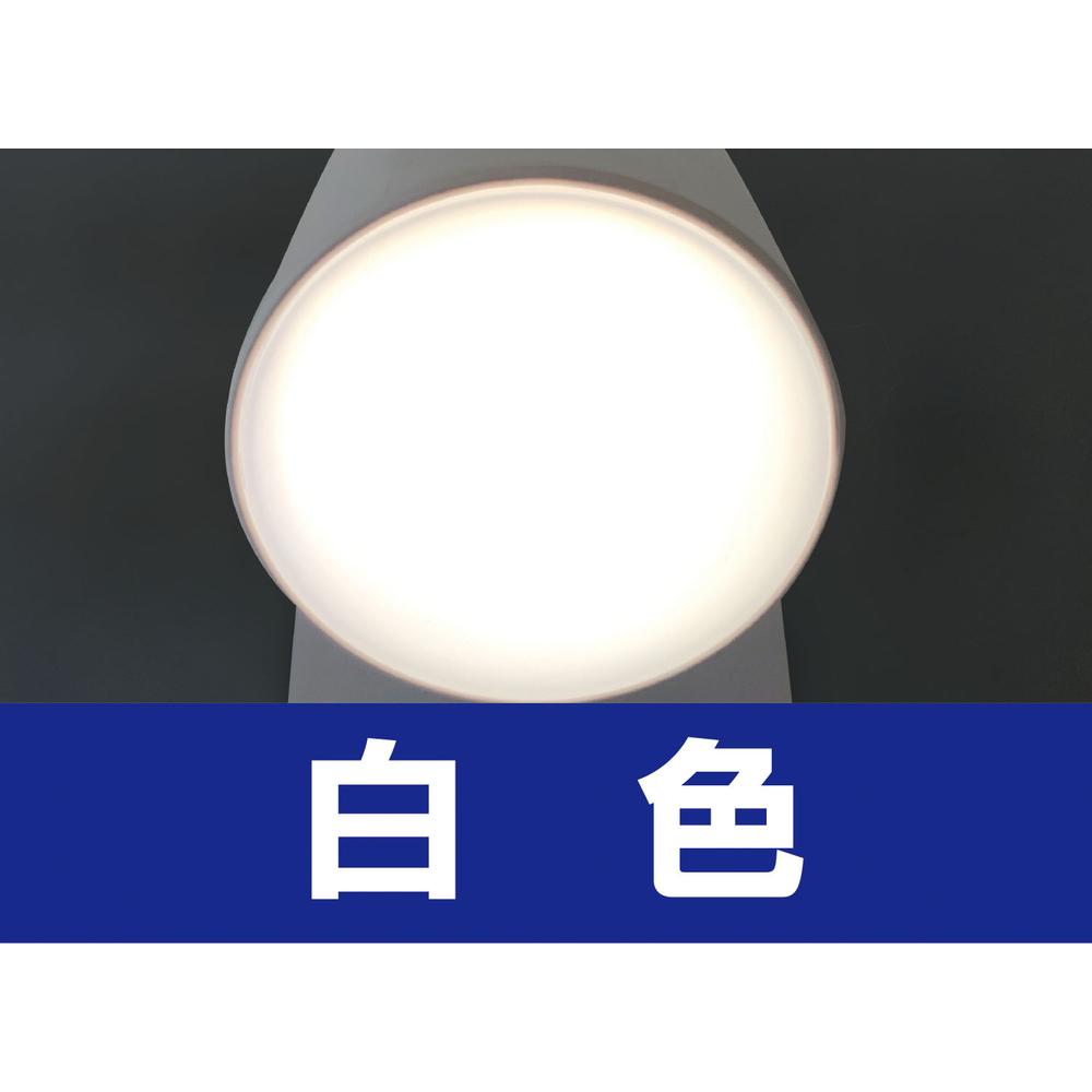 4901087220199_3_1000x.jpg?v=