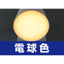 エルパ ELPA LEDセンサー付ライト ナイトライト 乾電池式 光色切替 最大45lm 防水仕様 IPX4 PM-L751W