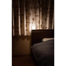 エルパ ELPA もてなしライト 人感センサー ふんわり点灯 間接照明 乾電池式 光色切替 明るさ最大45lm HLH-2204