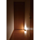 エルパ ELPA もてなしライト 人感センサー ふんわり点灯 間接照明 乾電池式 光色切替 明るさ最大45lm HLH-2204