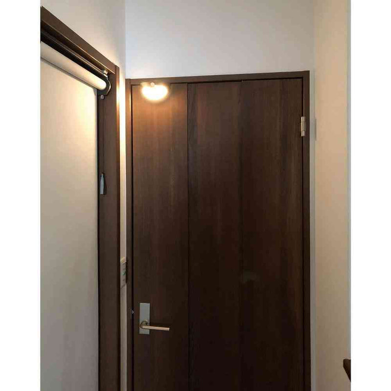 ELPA もてなしのあかり LED 明暗人感センサーライト ドア用 HLH-2206 1個