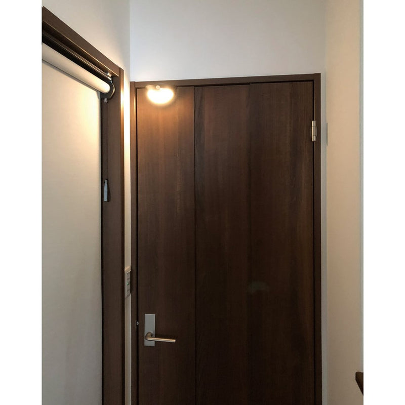 ELPA もてなしライト 自動点灯 自動消灯 停電対策 HLH-2206
