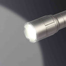 ELPA LEDハンドライト 250ルーメン DOP-EP420 1個