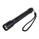 ELPA LED アルミハンドライト 250ルーメン DOP-EP520 1個