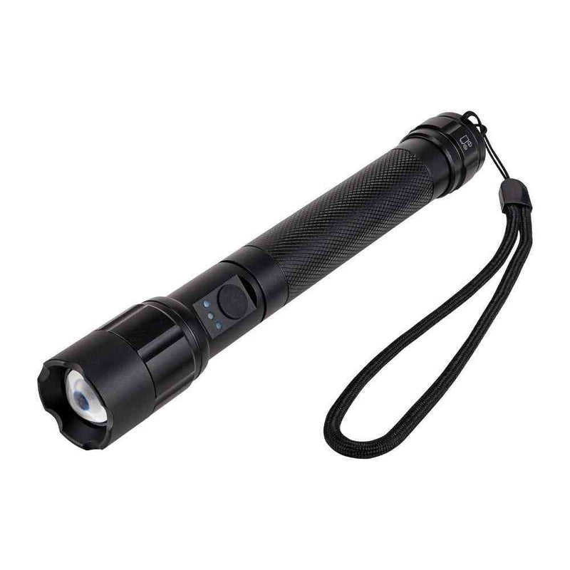 ELPA LED アルミハンドライト 250ルーメン DOP-EP520 1個