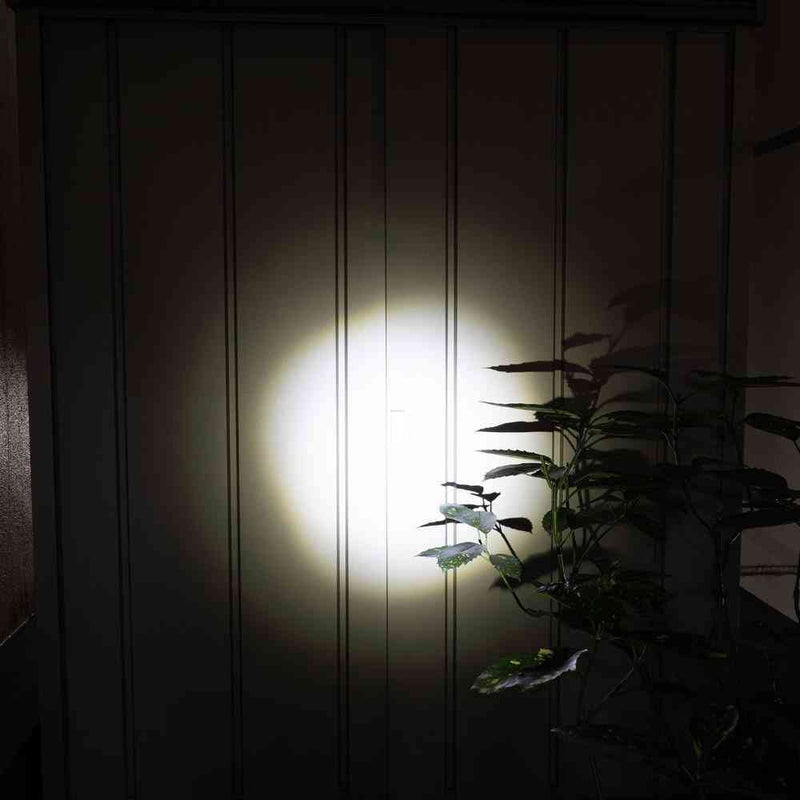 ELPA LED アルミハンドライト 250ルーメン DOP-EP520 1個