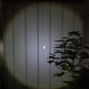 ELPA LED アルミハンドライト 250ルーメン DOP-EP520 1個