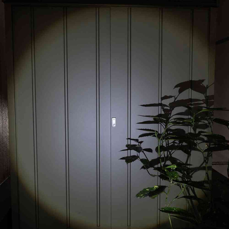 ELPA LED アルミハンドライト 250ルーメン DOP-EP520 1個