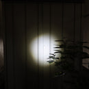 ELPA LED アルミハンドライト 250ルーメン DOP-EP520 1個