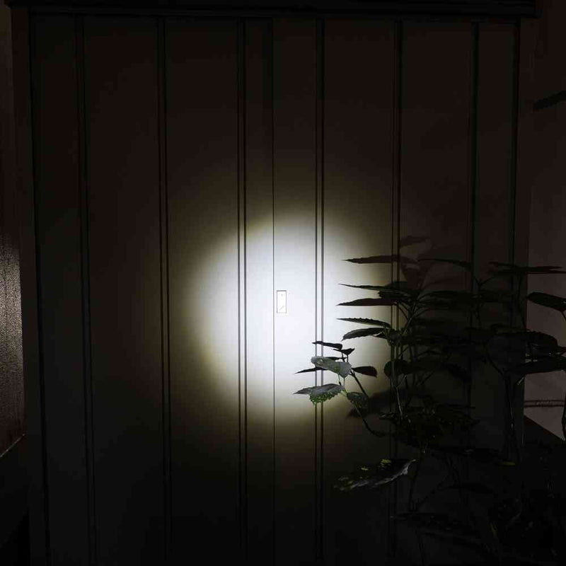 ELPA LED アルミハンドライト 250ルーメン DOP-EP520 1個