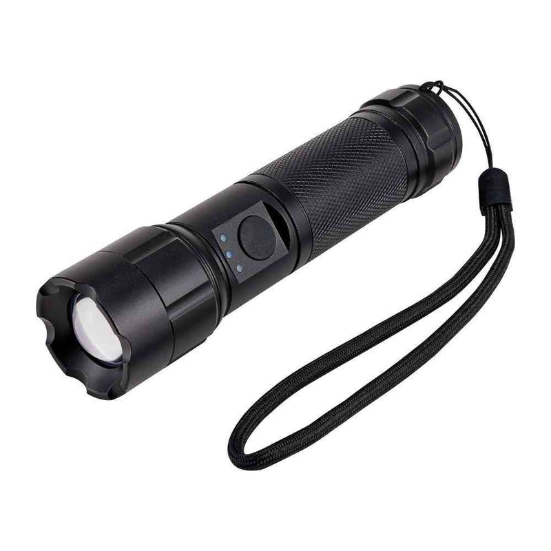 ELPA LED アルミハンドライト 450ルーメン DOP-EP540 1個