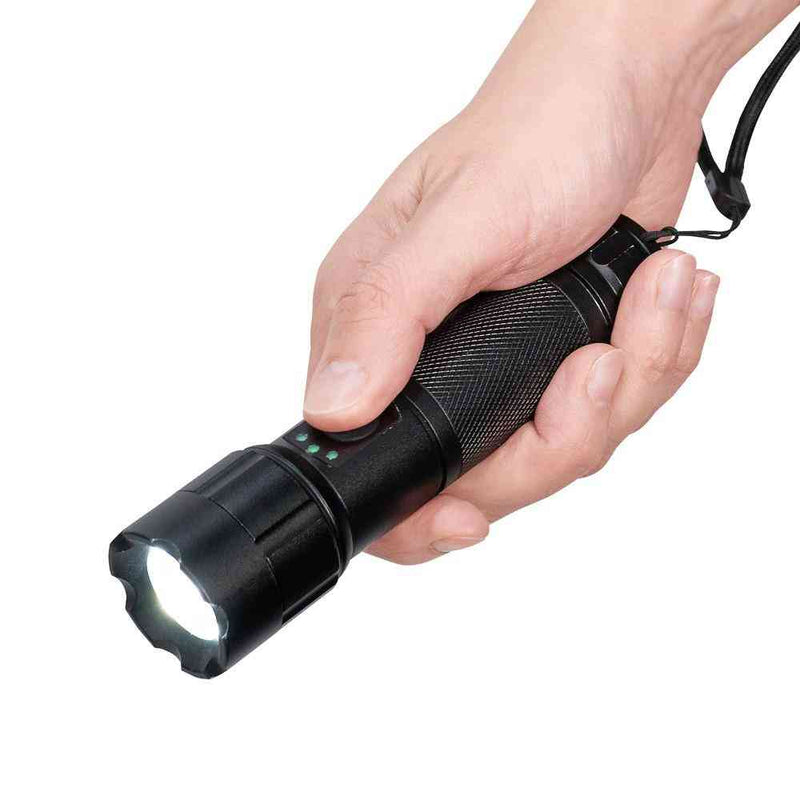 ELPA LED アルミハンドライト 450ルーメン DOP-EP540 1個