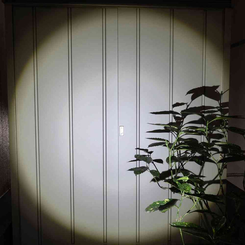 ELPA LED アルミハンドライト 450ルーメン DOP-EP540 1個