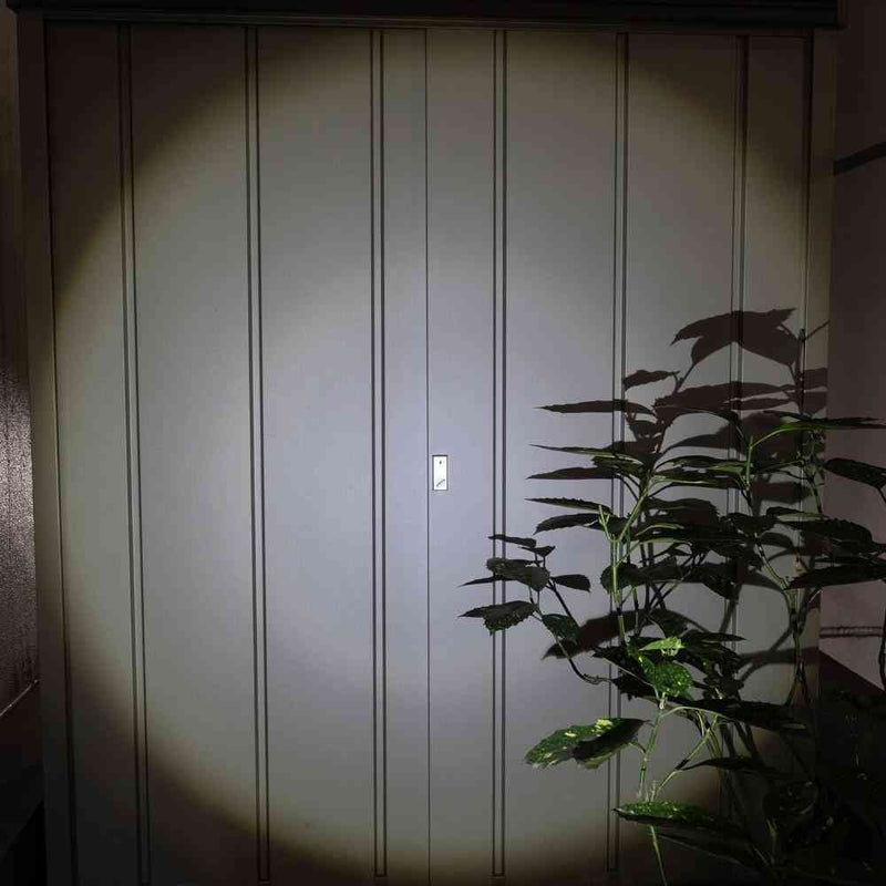 ELPA LED アルミハンドライト 450ルーメン DOP-EP540 1個