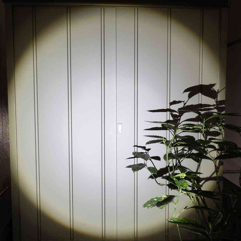 ELPA LED アルミハンドライト 650ルーメン DOP-EP560 1個