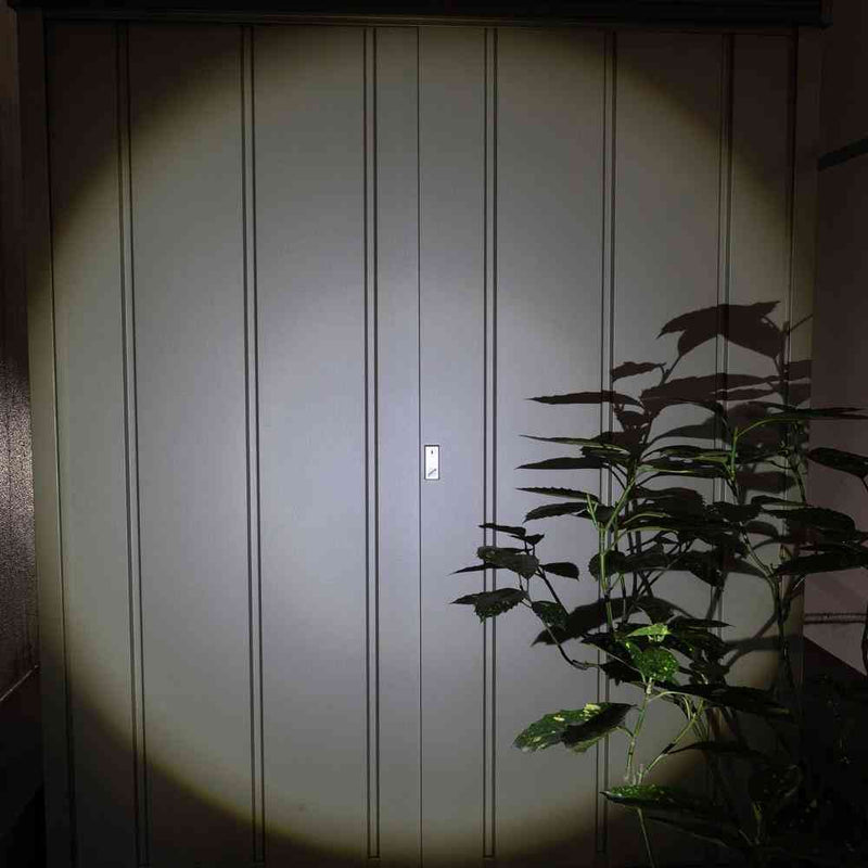 ELPA LED アルミハンドライト 650ルーメン DOP-EP560 1個