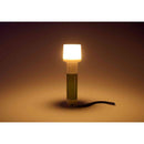 エルパ ELPA ランタンライト モスグリーン DOP-270（MG）