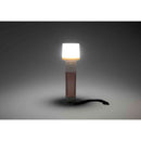 エルパ ELPA ランタンライト コーラルピンク DOP-270（CP）