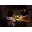 エルパ ELPA 電池長持ちコンパクトラジオ ER-C58