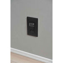 エルパ ELPA ロック式コンセントキャップ4P黒 AN-L204（BK）