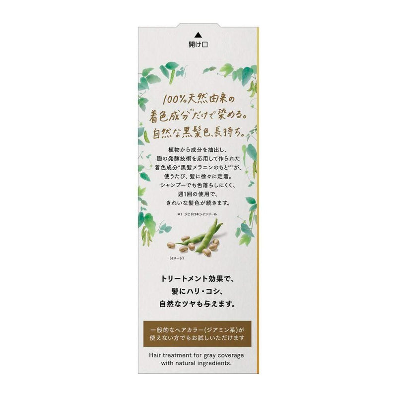 花王 ブローネ ナチュリラ 色長持ちカラートリートメント ブラック