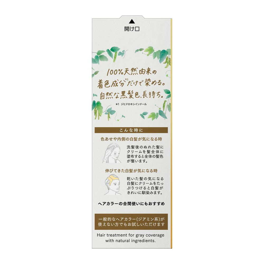 花王 ブローネ ナチュリラ 色長持ちカラートリートメント ブラック