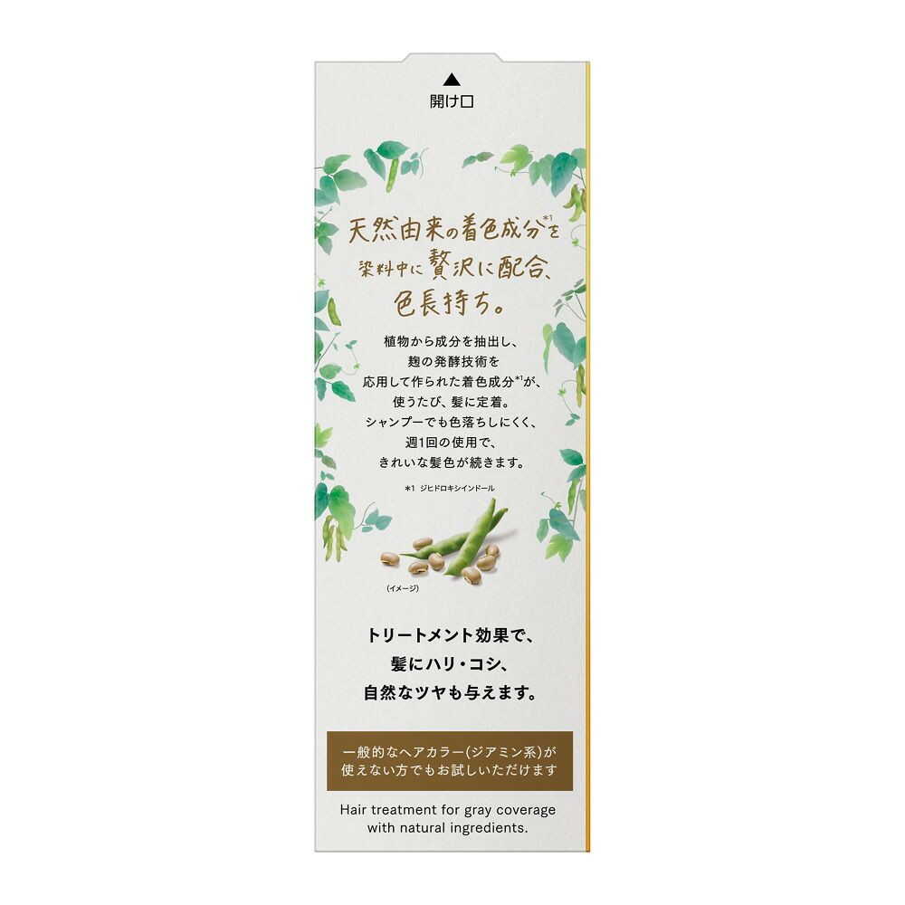 ブローネ ナチュリラカラートリートメント 白髪用 ダークブラウン 本体