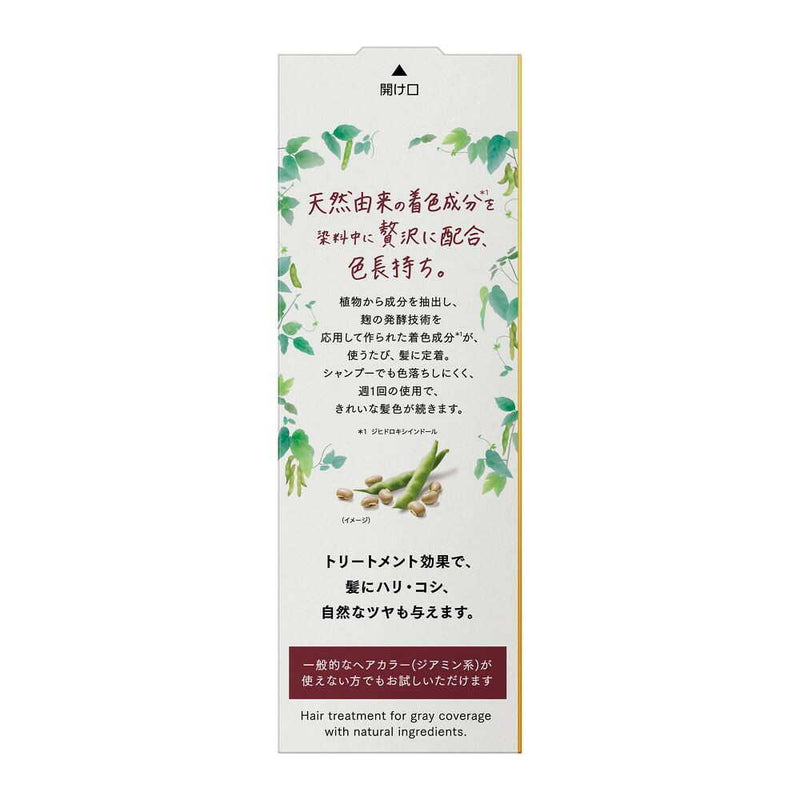 花王 ブローネ ナチュリラ 色長持ちカラートリートメント ローズブラウン 本体 155g
