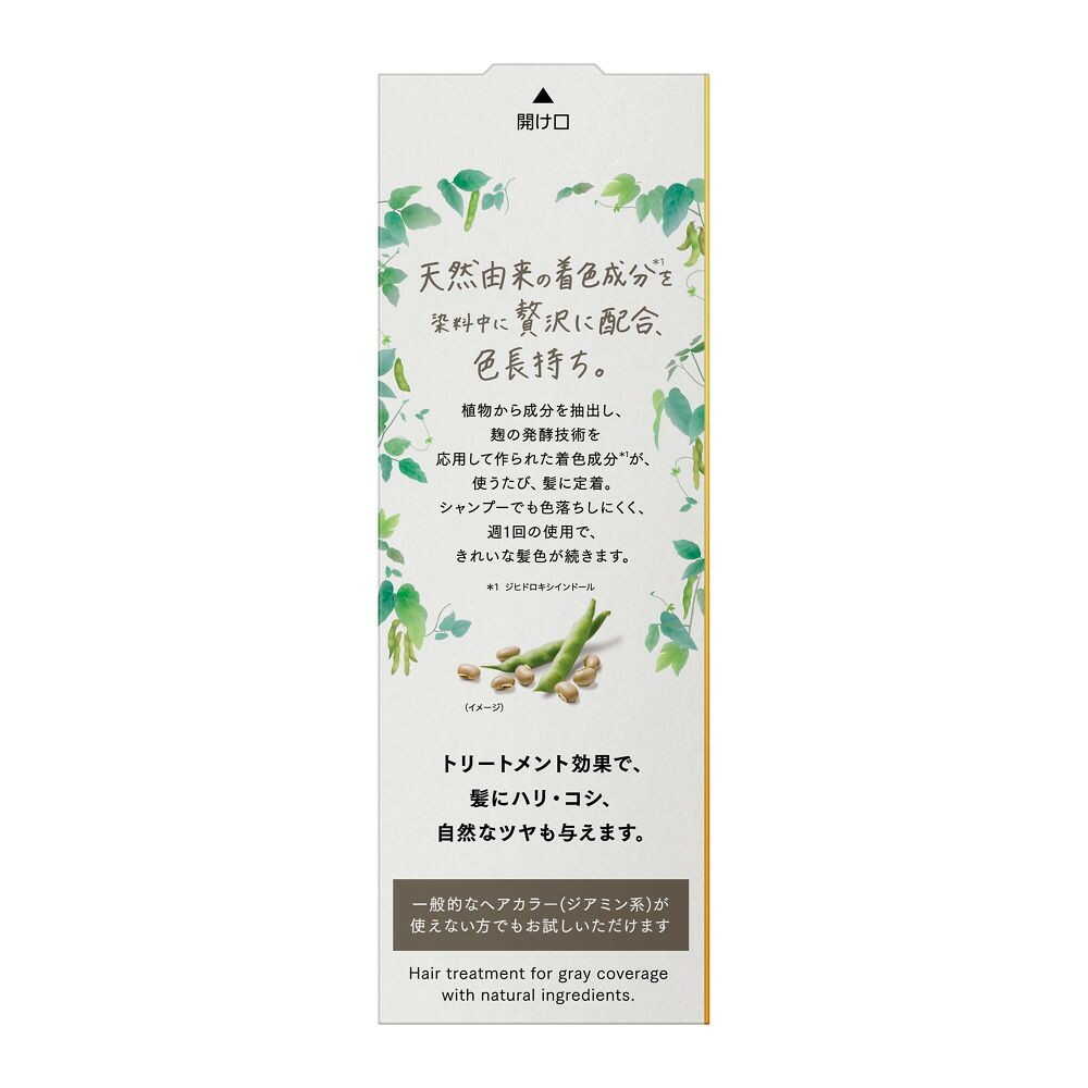 花王 ブローネ ナチュリラ 色長持ちカラートリートメント アッシュ