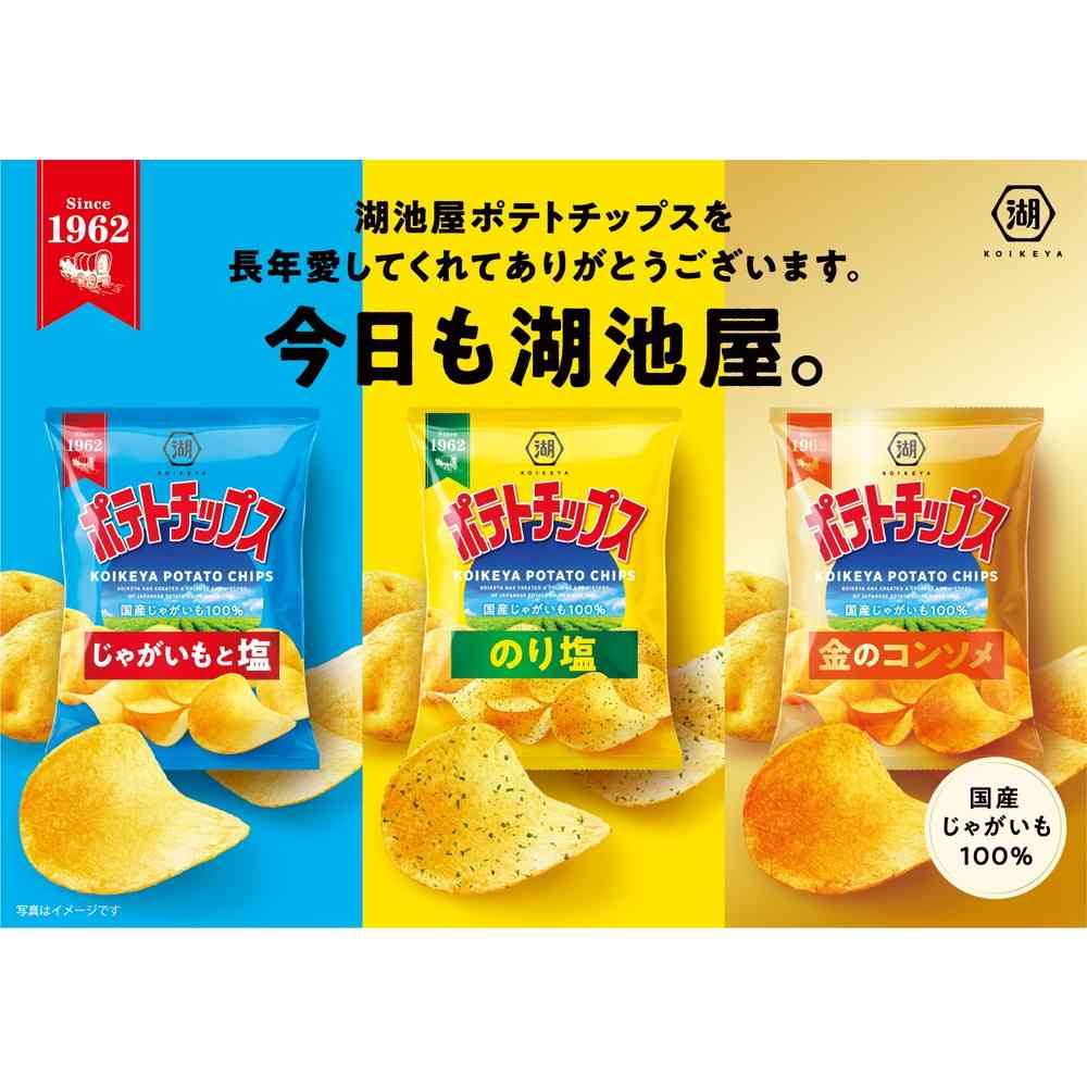 ◇湖池屋 ポテトチップス じゃがいもと塩 55g