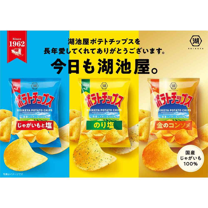 ◆湖池屋 ポテトチップス じゃがいもと塩 55g