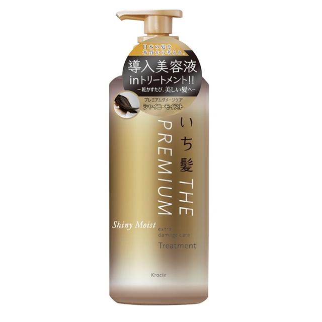 Kracie Home Products Ichikami Premium Extra Damage Care 治疗泵 480 克