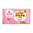 小林製薬 桐灰じんわり温かいおなか用カイロ10枚