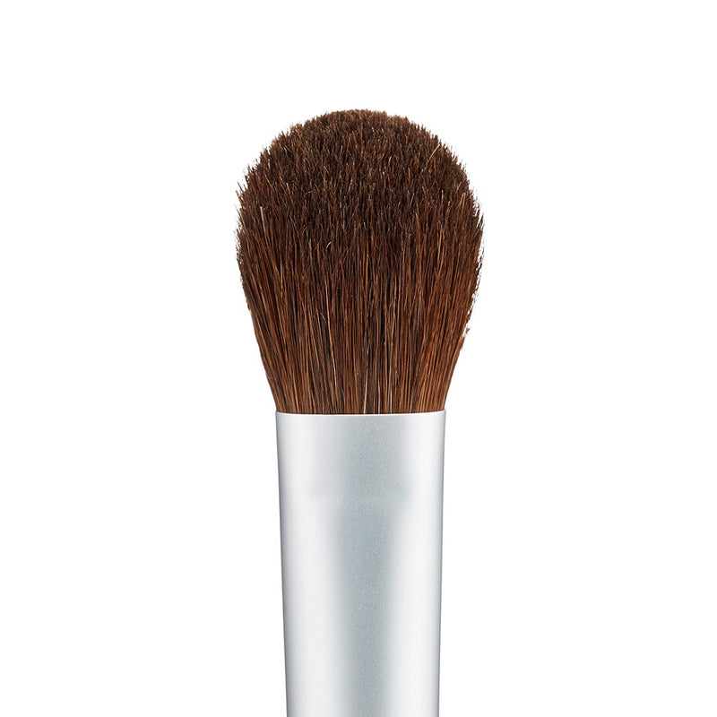 rosy rosa highlight brush