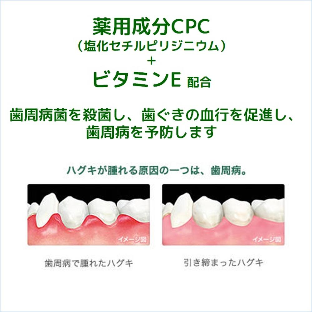 ガム・デンタルペースト ソルティミント 150g