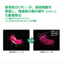 ガム歯周プロケアペーストうるおいタイプ85G