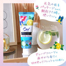 Aura Two Me Aroma Flavor Collection Paste [Sparkling Citrus Mint] *
