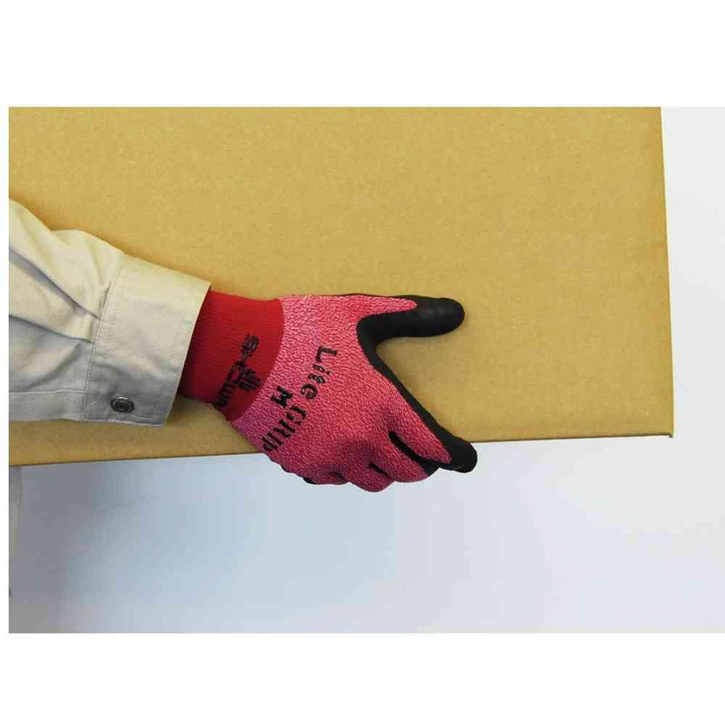 ショーワグローブ