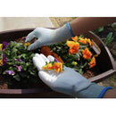 ショーワグローブ