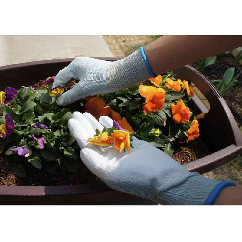 ショーワグローブ