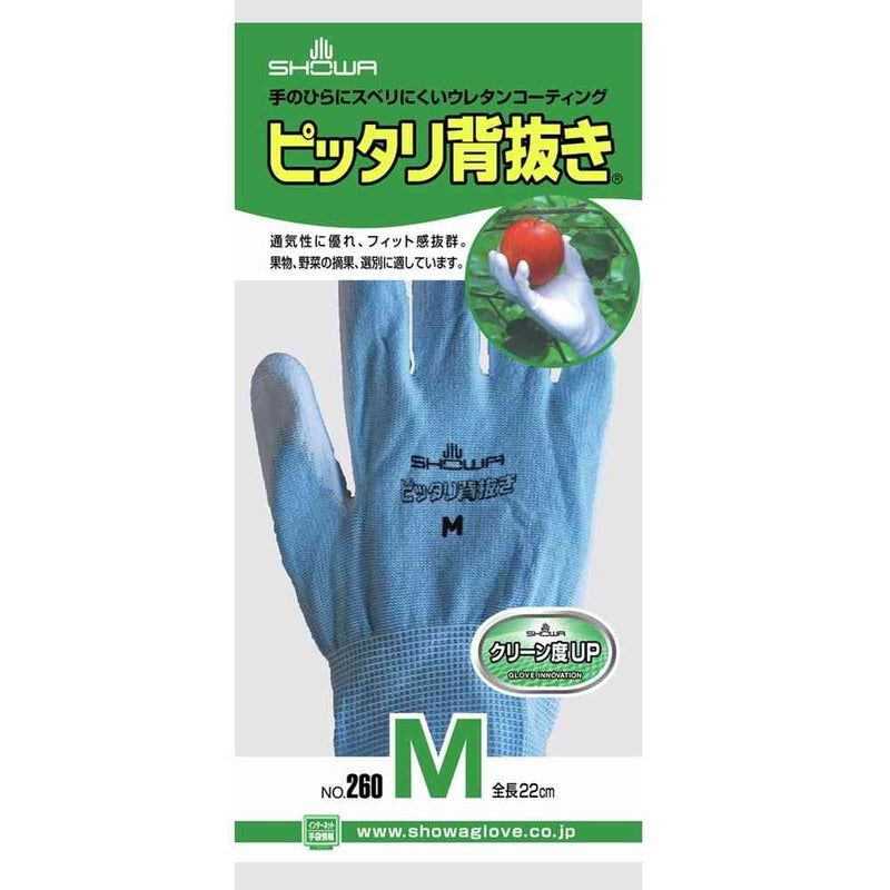 ショーワグローブ