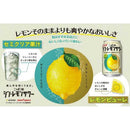 サッポロ ニッポンのシン・レモンサワー 500ml