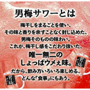 サッポロ 男梅サワー 350ml