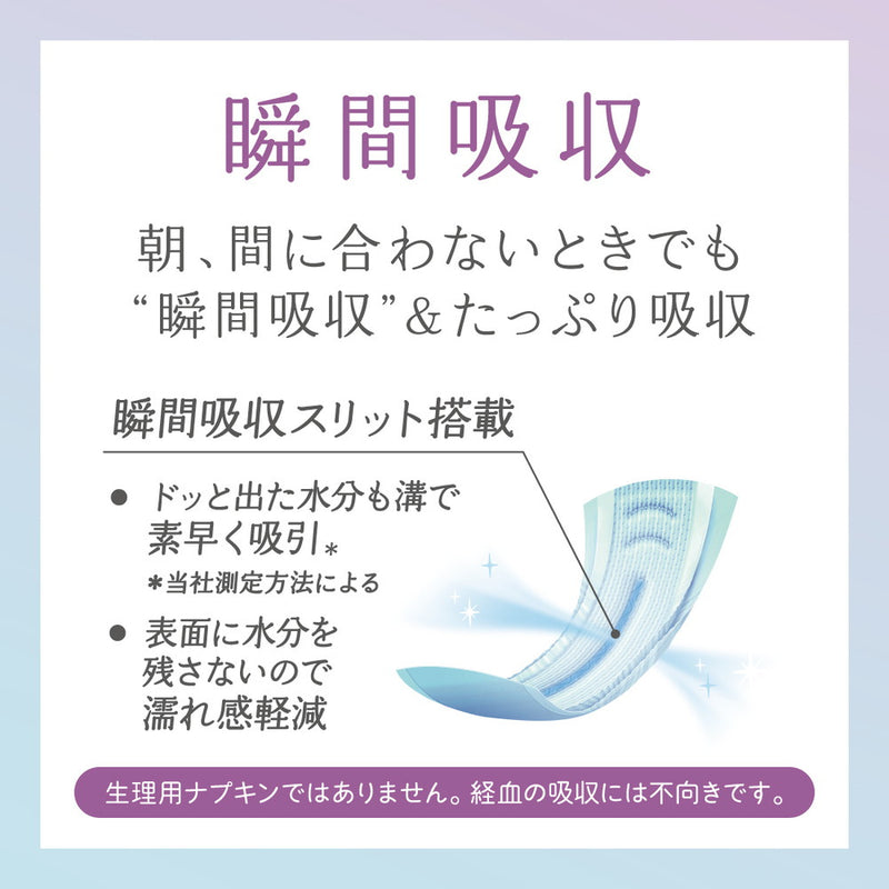 大王製紙 ナチュラ 夜つけて朝あんしん吸水パッド20.5cm 30cc 24枚