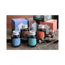 寺西化学工業 ギター 大正浪漫 ハイカラインキ トラベリングセピア 40ml