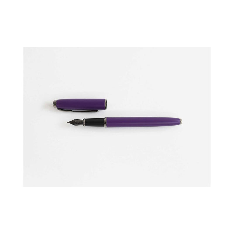 Teranishi Chemical Guitar Fountain Pen Purple F 138mm