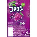 Coca-Cola Fanta Grape Can 500ml