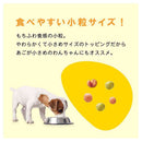 日本ペットフード コンボ ドッグ もっちりふっくら 免疫力の維持 540g（90g×6袋）
